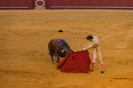 塞维利亚旅游西班牙斗牛士背景