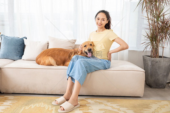 怀孕的美女和宠物金毛犬图片