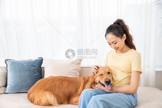 怀孕的美女和宠物金毛犬图片