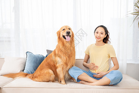 孕妇和狗怀孕的美女和宠物金毛犬背景