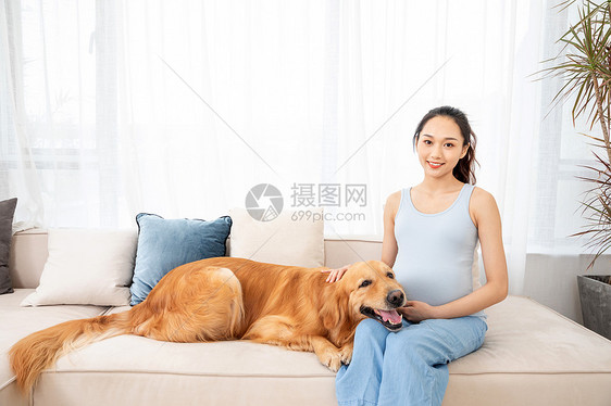 孕妇和宠物金毛犬相伴图片