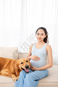 孕妇和狗怀孕的美女和宠物金毛犬背景