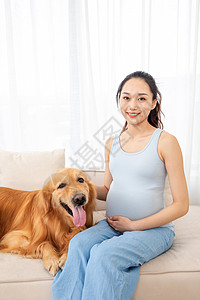 孕妇和宠物金毛犬相伴图片