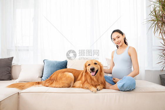 孕妇和宠物金毛犬相伴图片