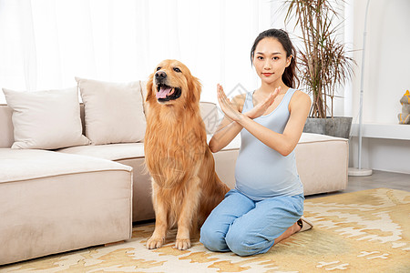 禁止宠物孕妇训练宠物禁止手势背景