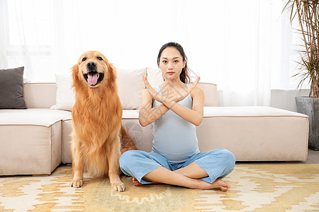 禁止宠物孕妇训练宠物禁止手势背景