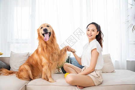 美女和金毛犬握手图片