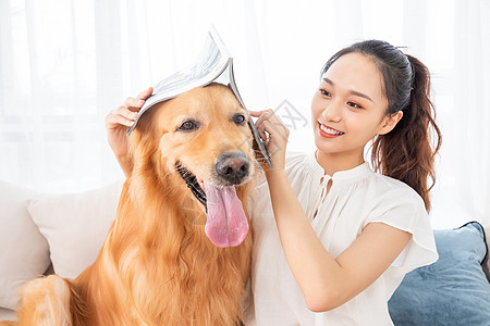 美女金毛犬宠物生活图片