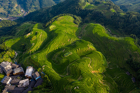 农业旅游桂林龙脊梯田平安寨梯田航拍日出背景