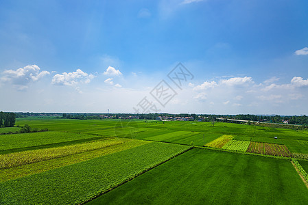 农田全景风光图片