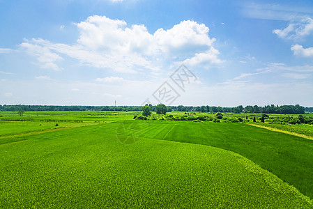 麦田航拍农田全景风光背景