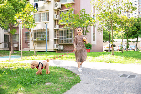 小孩与小狗小女孩户外遛狗背景