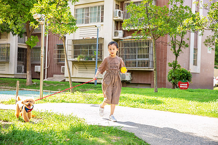 小孩与小狗小女孩户外遛狗背景