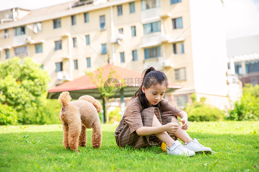 小女孩户外遛狗和狗玩耍图片