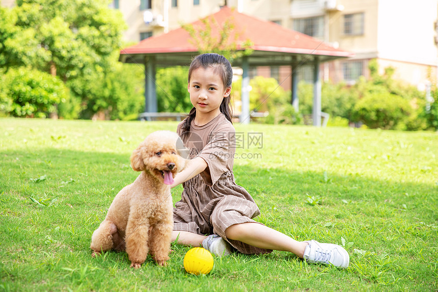 小女孩户外遛狗和狗玩耍图片