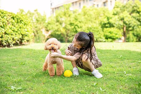 小女孩户外遛狗和狗玩耍高清图片