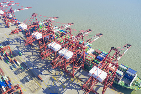 洋山深水港自动化集装箱码头图片