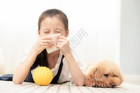 泰迪狗小女孩对狗狗过敏背景