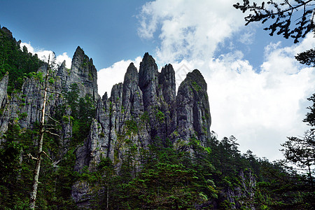 秦岭山脉神农架风光背景