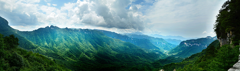 原始森林神农架风光背景