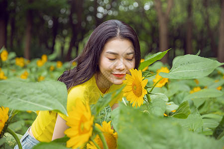 向日葵中的少女背景图片