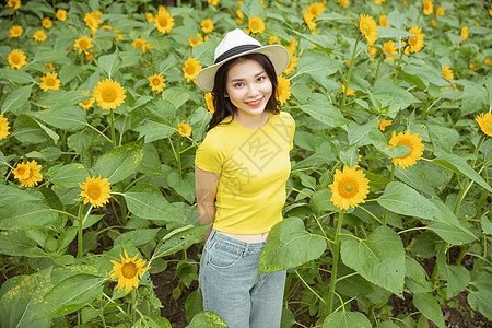 向日葵中的少女高清图片