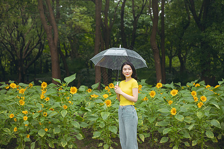 向日葵中撑伞漫步的少女图片