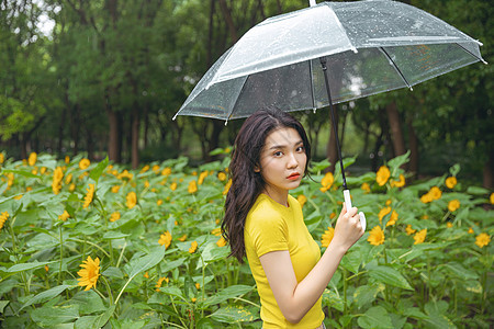 向日葵中撑伞漫步的少女背景图片