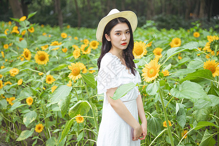 向日葵,女孩背景
