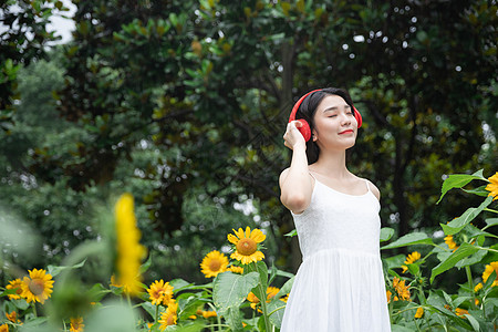 向日葵女孩向日葵中听音乐机的少女背景