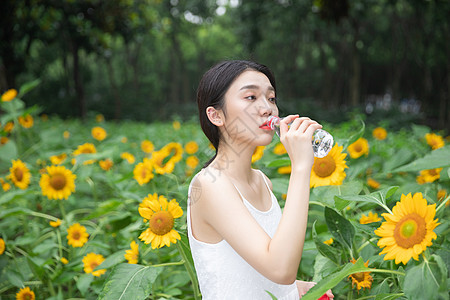 向日葵中的少女在喝水高清图片