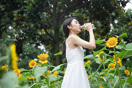 向日葵中的少女在喝水背景