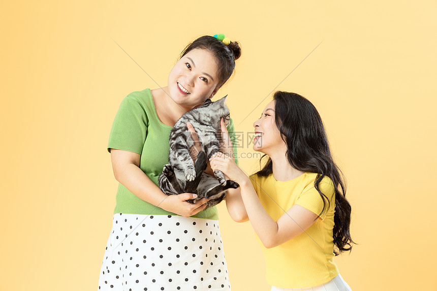 胖瘦姐妹一起喝猫玩耍图片