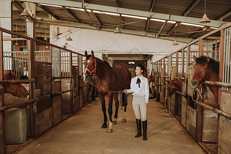 青年女性马厩牵马高清图片