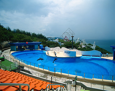 香港湿地公园海边的香港海洋公园背景