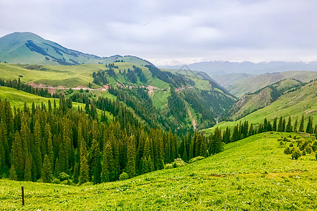 沿途美景新疆喀拉峻草原风光背景