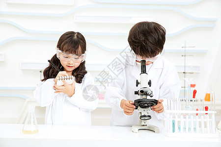 实验儿童小小科学家显微镜观察记录背景