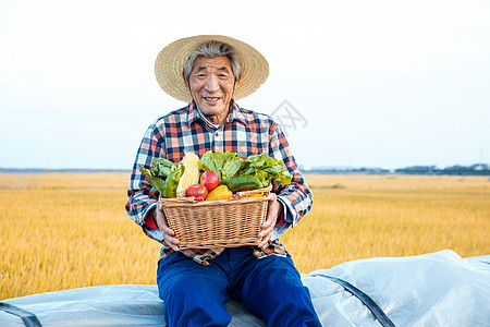 蔬果生鲜农民伯伯秋季丰收背景