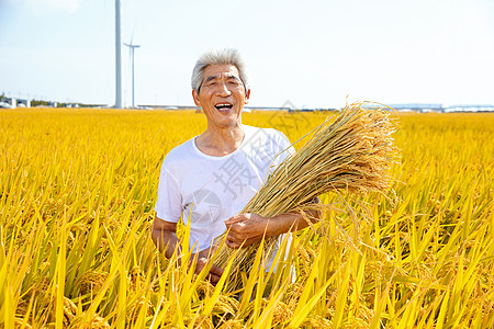 秋季农民稻田丰收背景图片