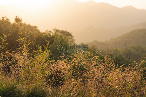 山顶风景图片