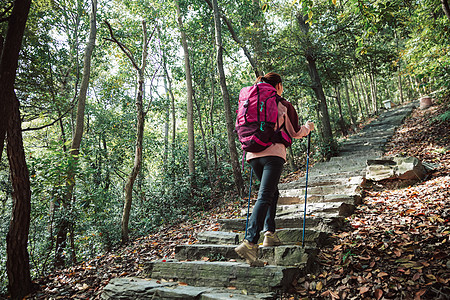 森林健康用登山杖爬山的女性形象背景