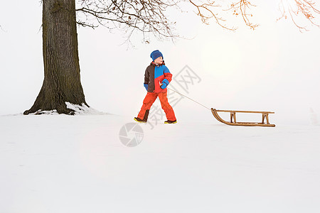 在雪地里拉雪橇的男孩高清图片