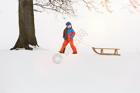 在雪地里拉雪橇的男孩图片