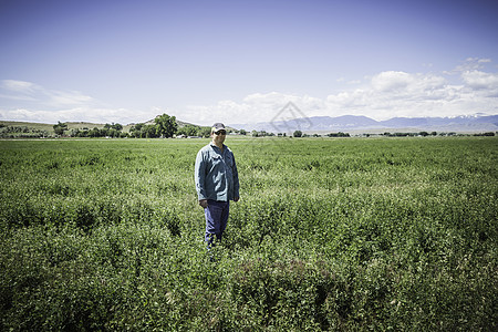 美国蒙大拿州比林斯田野里的成熟男人图片