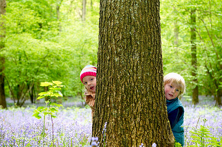 孩子们躲在树后面高清图片