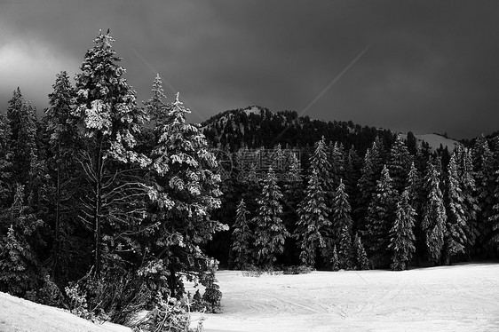 白雪皑皑的林间山野图片