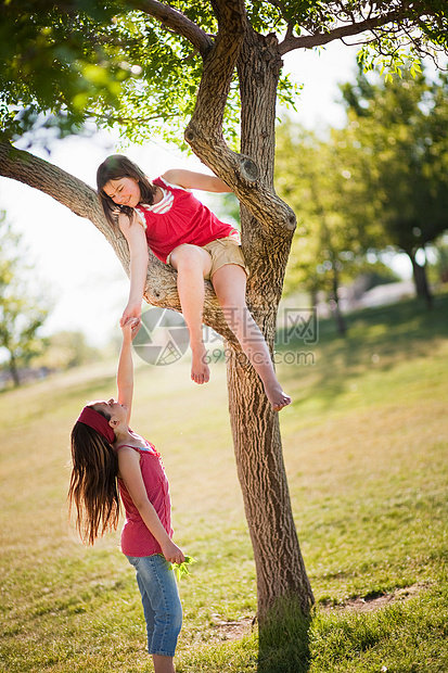 女孩帮朋友爬树图片
