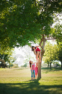 3个小女孩在树下玩耍图片