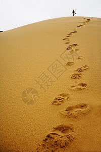 沙丘的脚步背景图片