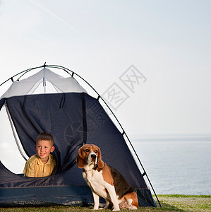 男孩和狗在海边的帐篷里图片